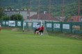 /album/tj-horne-oresany-tj-chvojnik-radosovce-4-1-/dsc-0617-jpg/